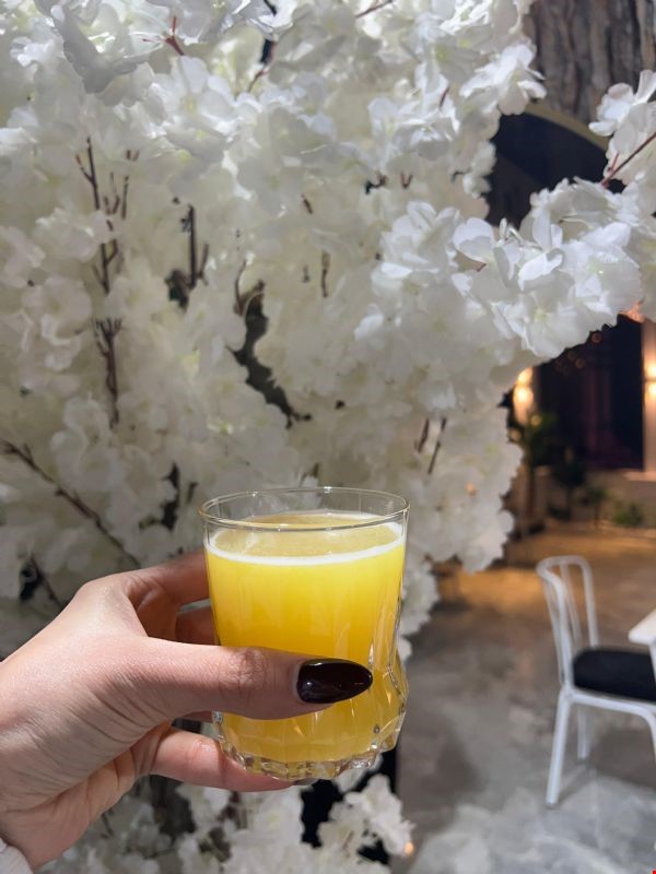 Ice Tea muzlu